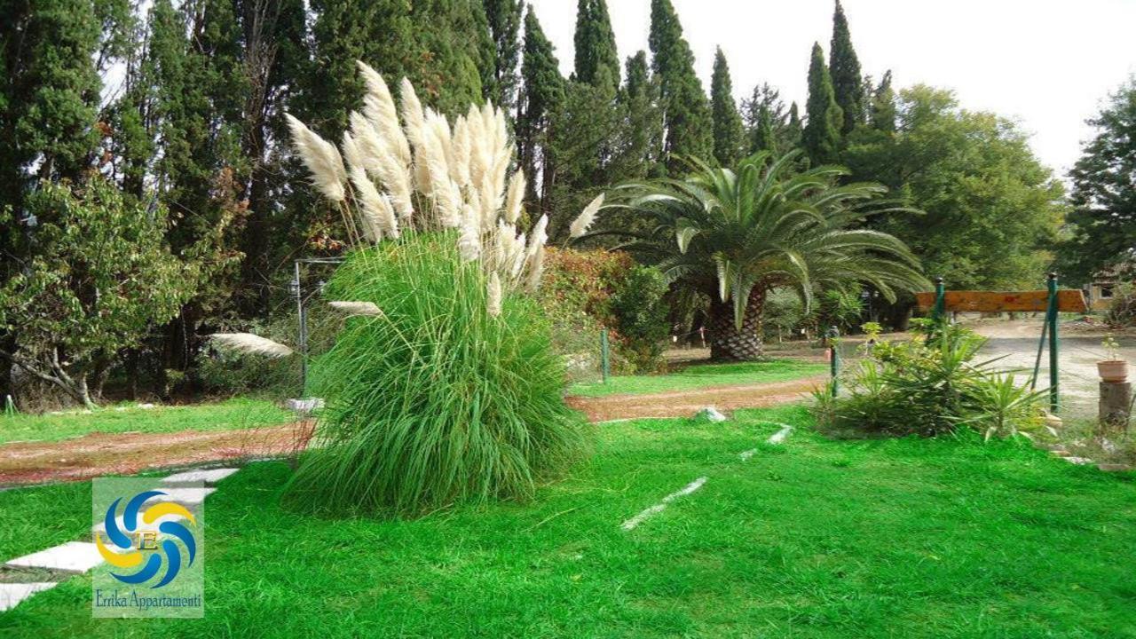شقة Errika إيبسوس المظهر الخارجي الصورة