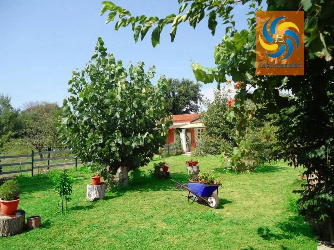 شقة Errika إيبسوس المظهر الخارجي الصورة